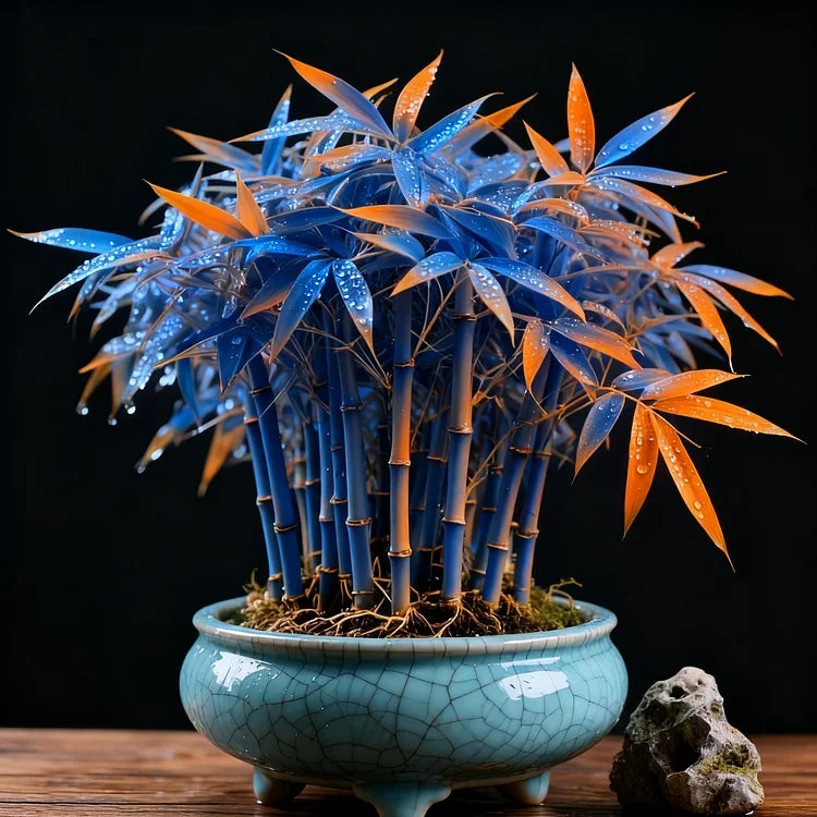 🌿 DreamBamboo — Multi-Color Lucky Bamboo Cypress | 🔥Buy 1 Get 1 Free🔥