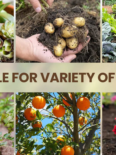 Soil Activator: Plants' Best Friend - Rejuvenate Your Plants ( BUY 1 GET 1 FREE )