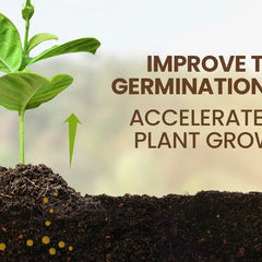 Soil Activator: Plants' Best Friend - Rejuvenate Your Plants ( BUY 1 GET 1 FREE )