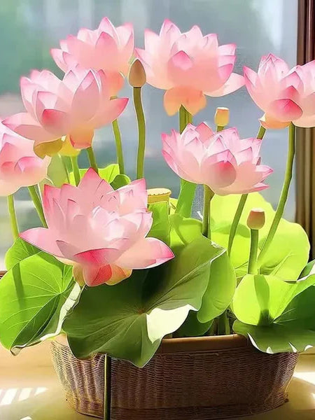 Premium Japanese Bonsai Lotus Seeds - High Fragrance 50 Seeds + 50 Seeds Free