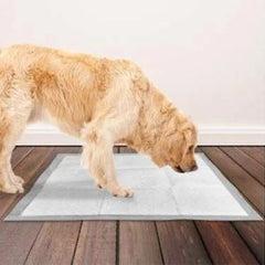 Pet Training Spray