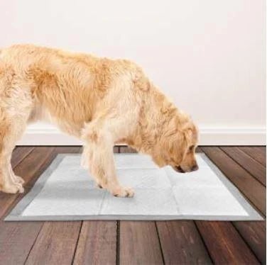 Pet Training Spray