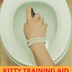 Pet Training Spray