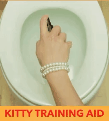 Pet Training Spray