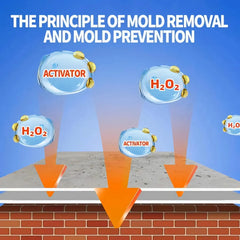 POWERFUL WALL MOLD REMOVER SPRAY (BUY 1 GET 1 FREE)