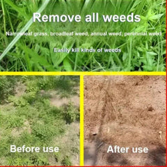 High Concentration Glufosinate Herbicide (Buy 1 Get 1 Free)