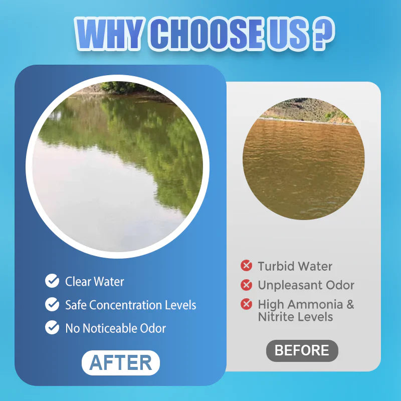 Premium Pond Care Powder | Water Clarifier & Algae Control 🐟🌊🔬
