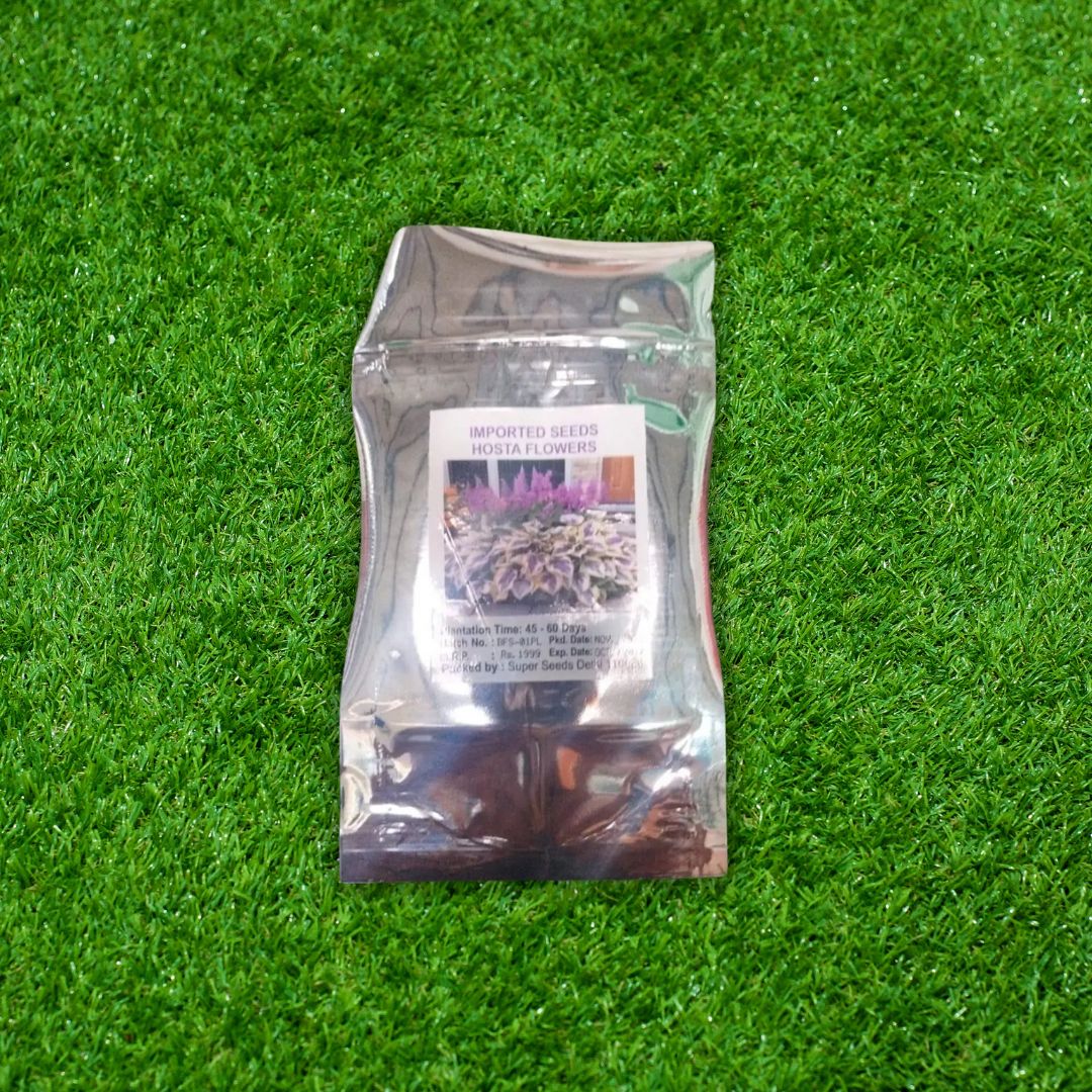 Imported Hosta Flower Seeds (Mix Color 200g)