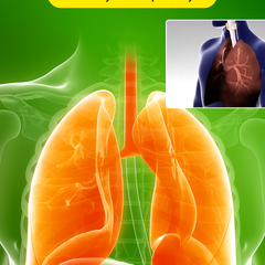 Lucky Plant Green Plants Wood【King of Lung Healing】