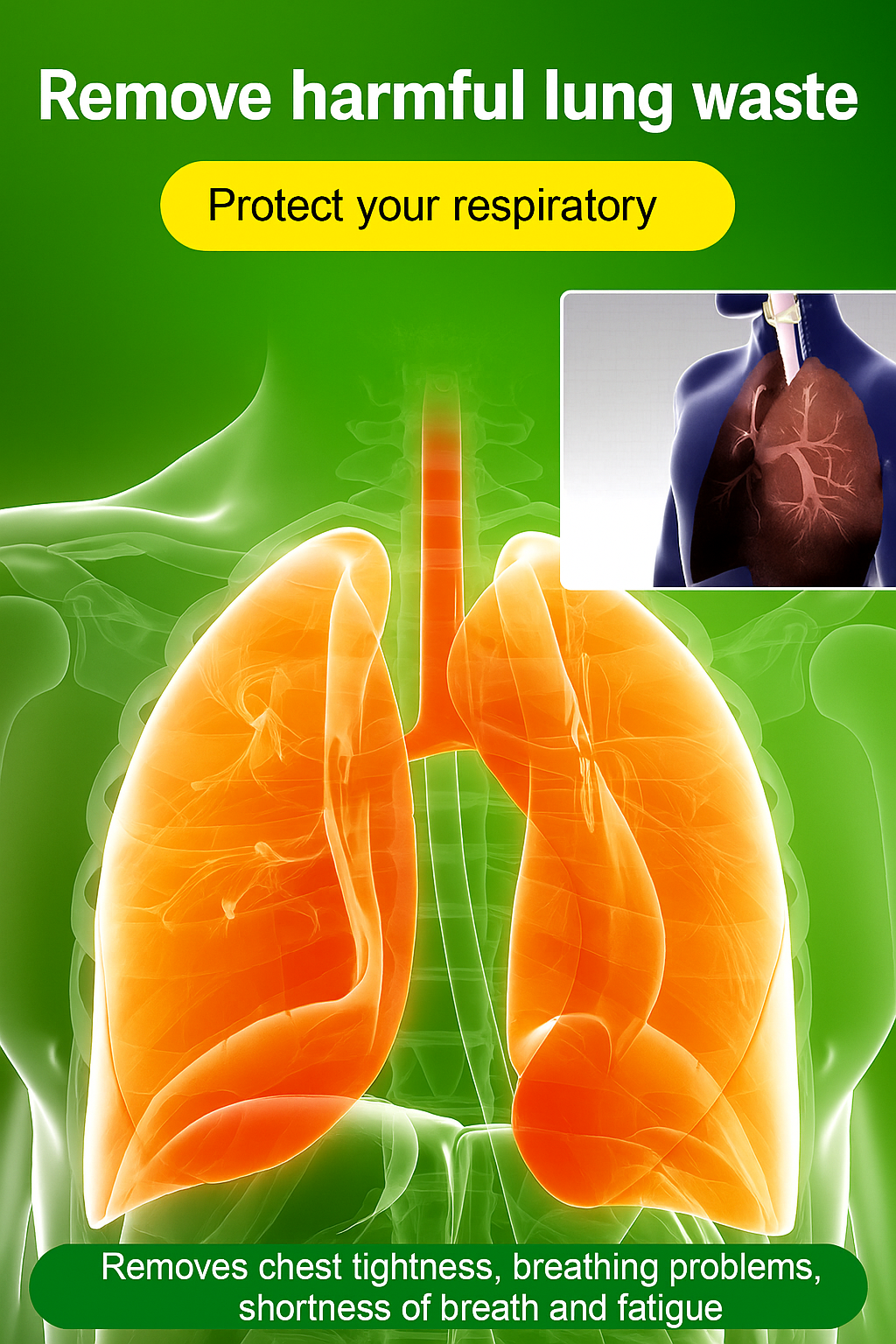 Lucky Plant Green Plants Wood【King of Lung Healing】