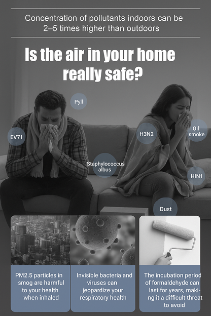 Lucky Plant Green Plants Wood【King of Lung Healing】