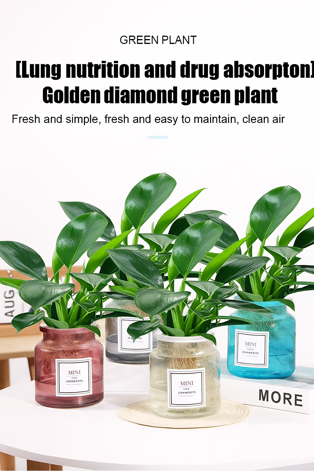 Lucky Plant Green Plants Wood【King of Lung Healing】