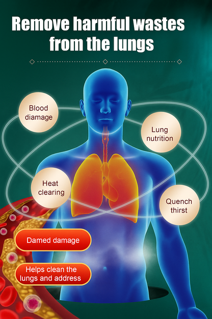 Lucky Plant Green Plants Wood【King of Lung Healing】