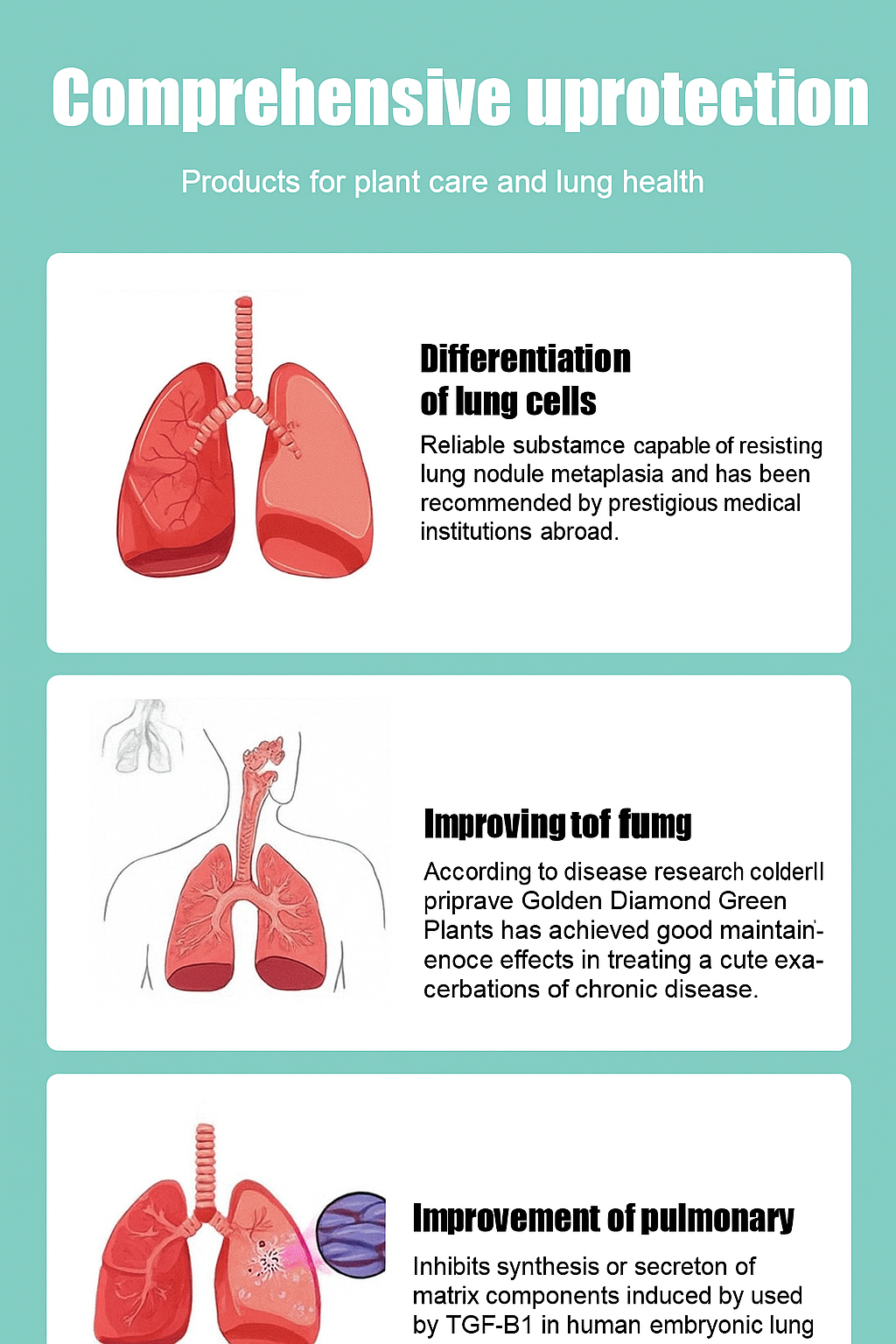 Lucky Plant Green Plants Wood【King of Lung Healing】
