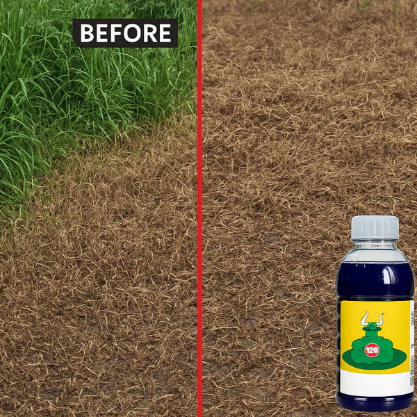 High Concentration Glufosinate Herbicide (Buy 1 Get 1 Free)
