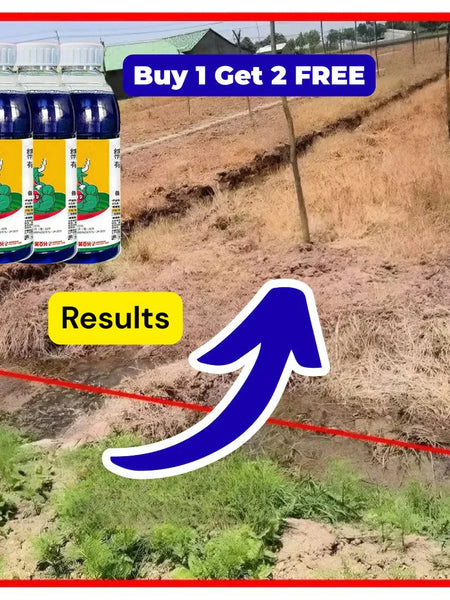 High Concentration Glufosinate Herbicide (Buy 1 Get 1 Free)