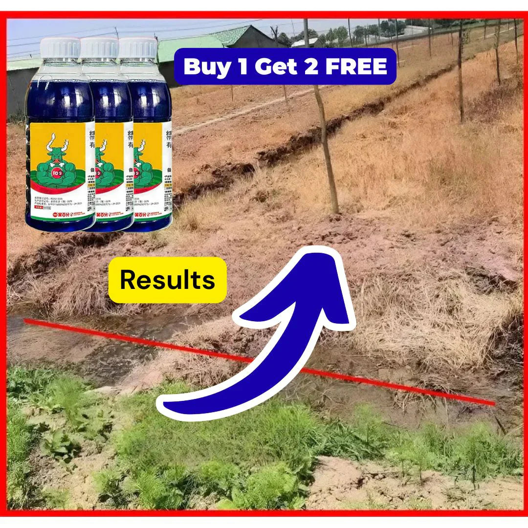 High Concentration Glufosinate Herbicide (Buy 1 Get 1 Free)