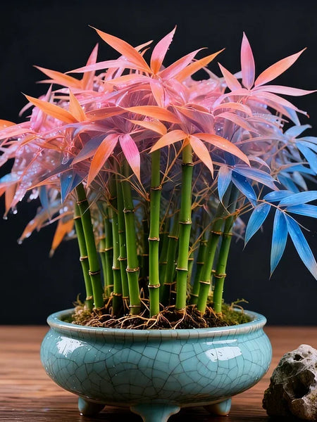 🌿 DreamBamboo — Multi-Color Lucky Bamboo Cypress | 🔥Buy 1 Get 1 Free🔥