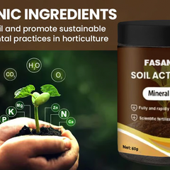 Soil Activator: Plants' Best Friend - Rejuvenate Your Plants ( BUY 1 GET 1 FREE )