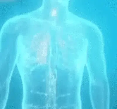 Lucky Plant Green Plants Wood【King of Lung Healing】